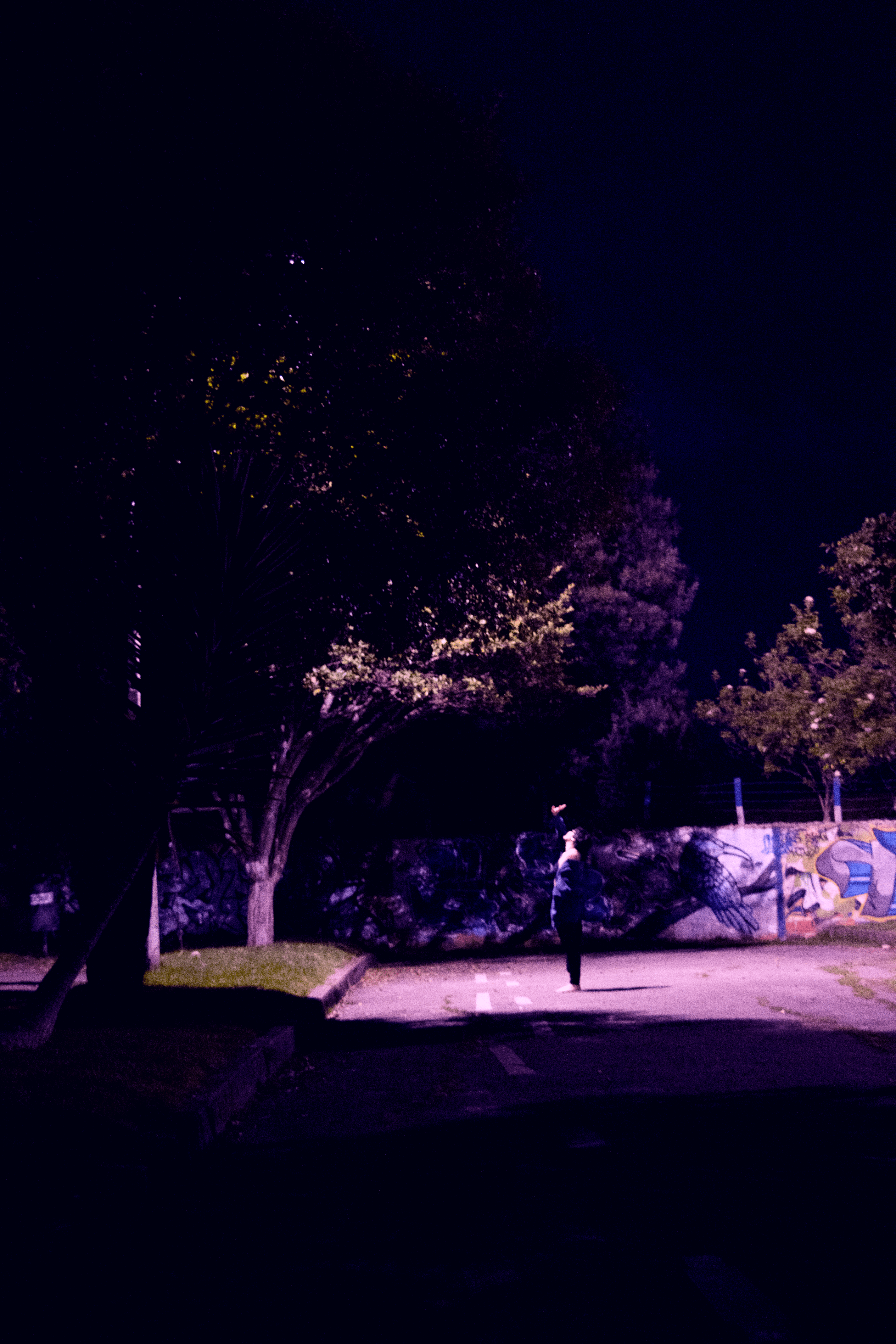 Fachada de un mundo roto